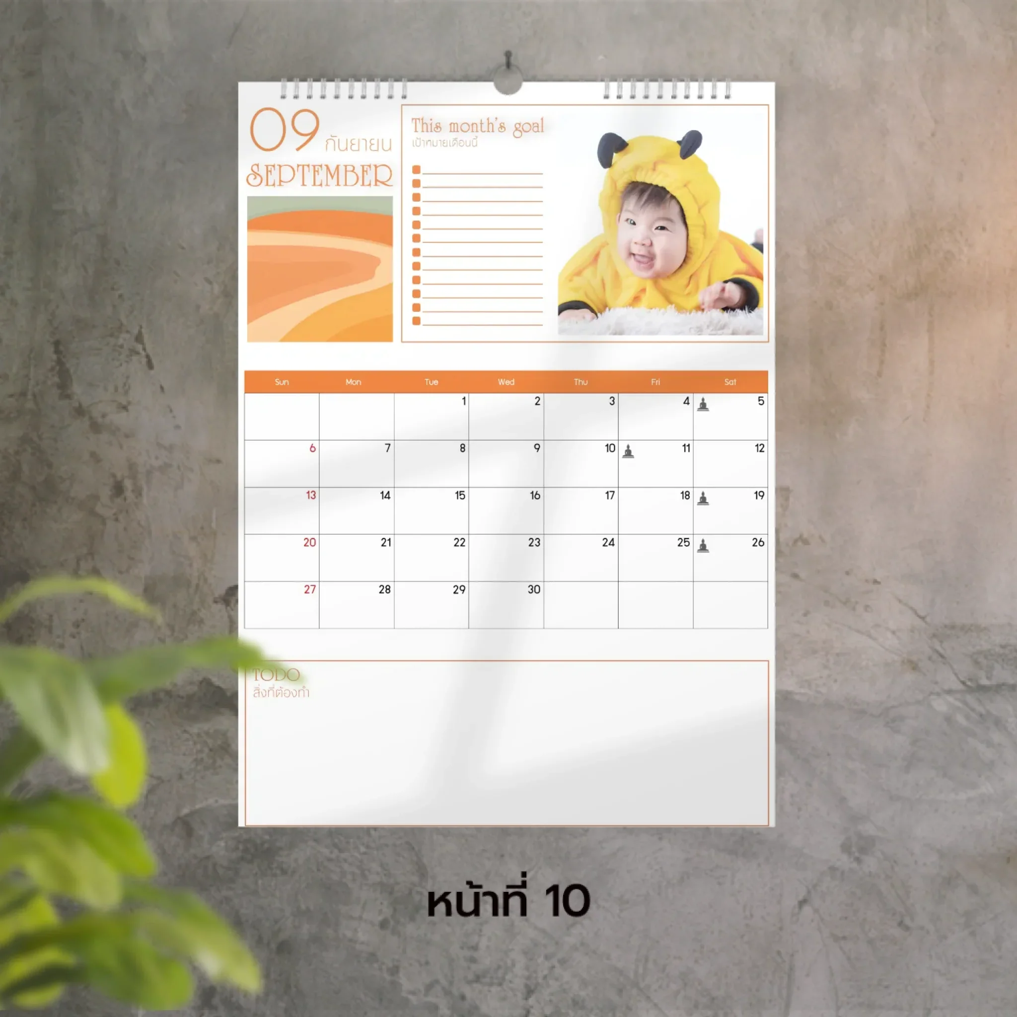 Calendar 30x42 cm - Golden Moments แบบแขวน (18รูป) - Image 10
